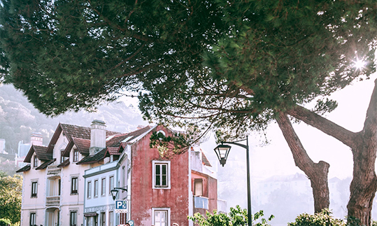 跑了！中国前首富不再卖房