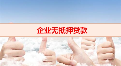 钱云助贷-企业无抵押贷款