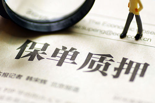 保单_看图王