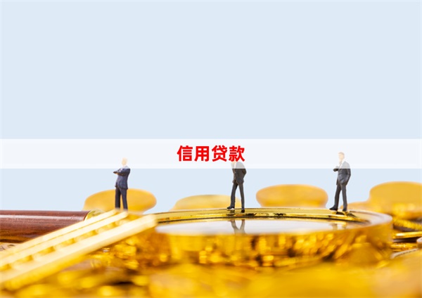 信用贷款3